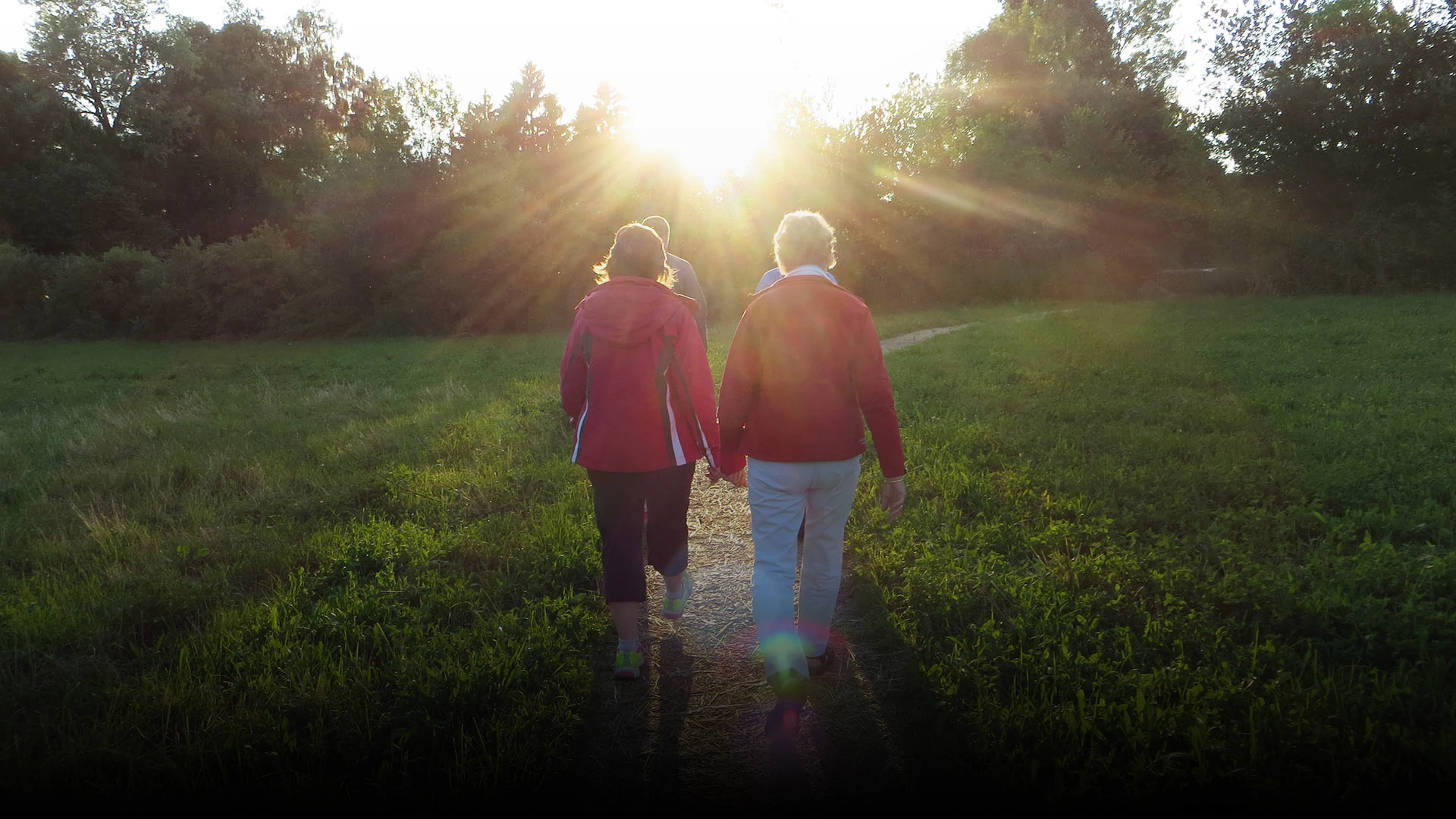 group of people walking in a field towards the sun